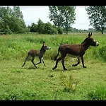 팜스테이 La Ferme De