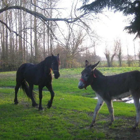 La Ferme De Farm stay Tigny-Noyelle