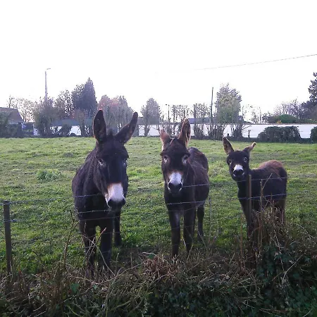 La Ferme De Farm stay Tigny-Noyelle