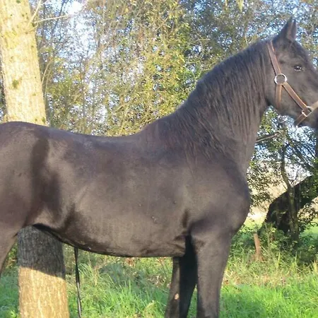 La Ferme De Tigny-Noyelle