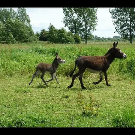 Farm stay La Ferme De